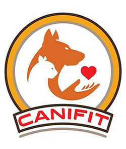 Canifit